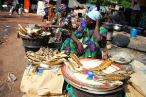 Background for Benin