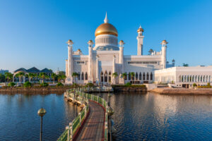 Background for Brunei Darussalam