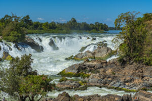 Background for Zentralafrikanische Republik