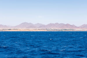 Background for Eritrea