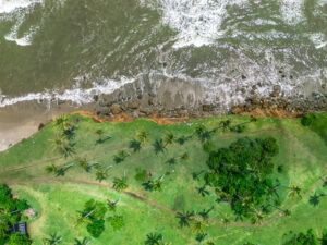 Background for Liberia