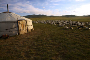 Background for Mongolei