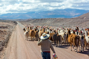 Background for Peru