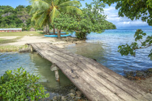 Background for Salomonen