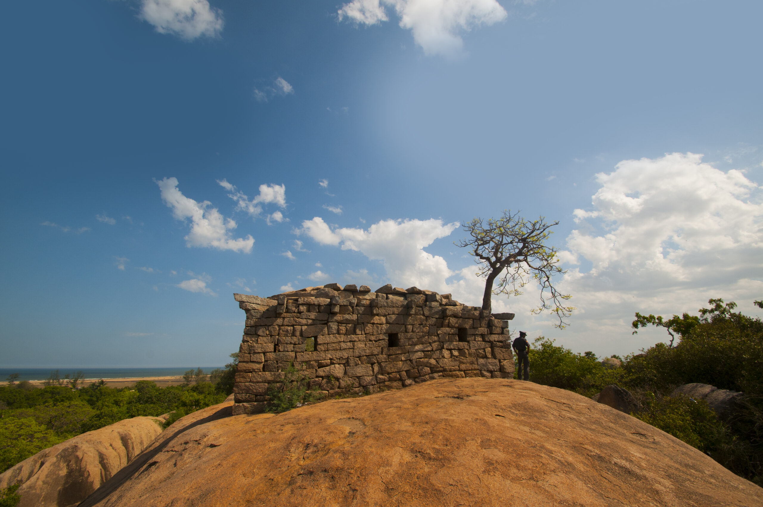 Background for Simbabwe