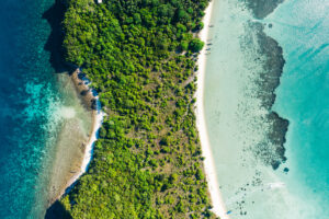 Background for Tonga