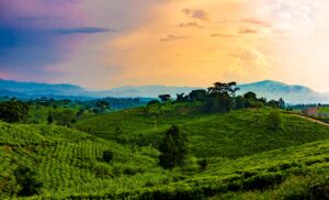 Background for Uganda